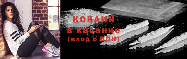 СК Бронницы