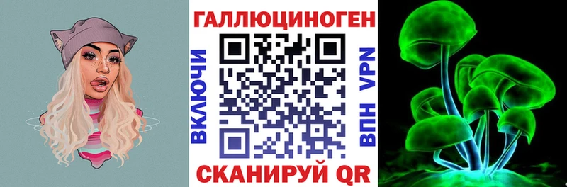Псилоцибиновые грибы Cubensis  darknet клад  Новомосковск  гидра  
