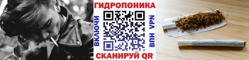 Канабис семена  наркошоп  shop наркотические препараты  Новомосковск 